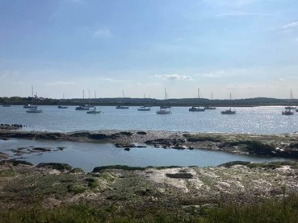 PT Estuary ResizedImageWzYwMCw0NTBd